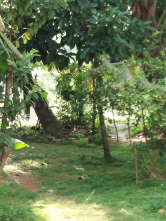 Ishitha Homestay تانجالي المظهر الخارجي الصورة