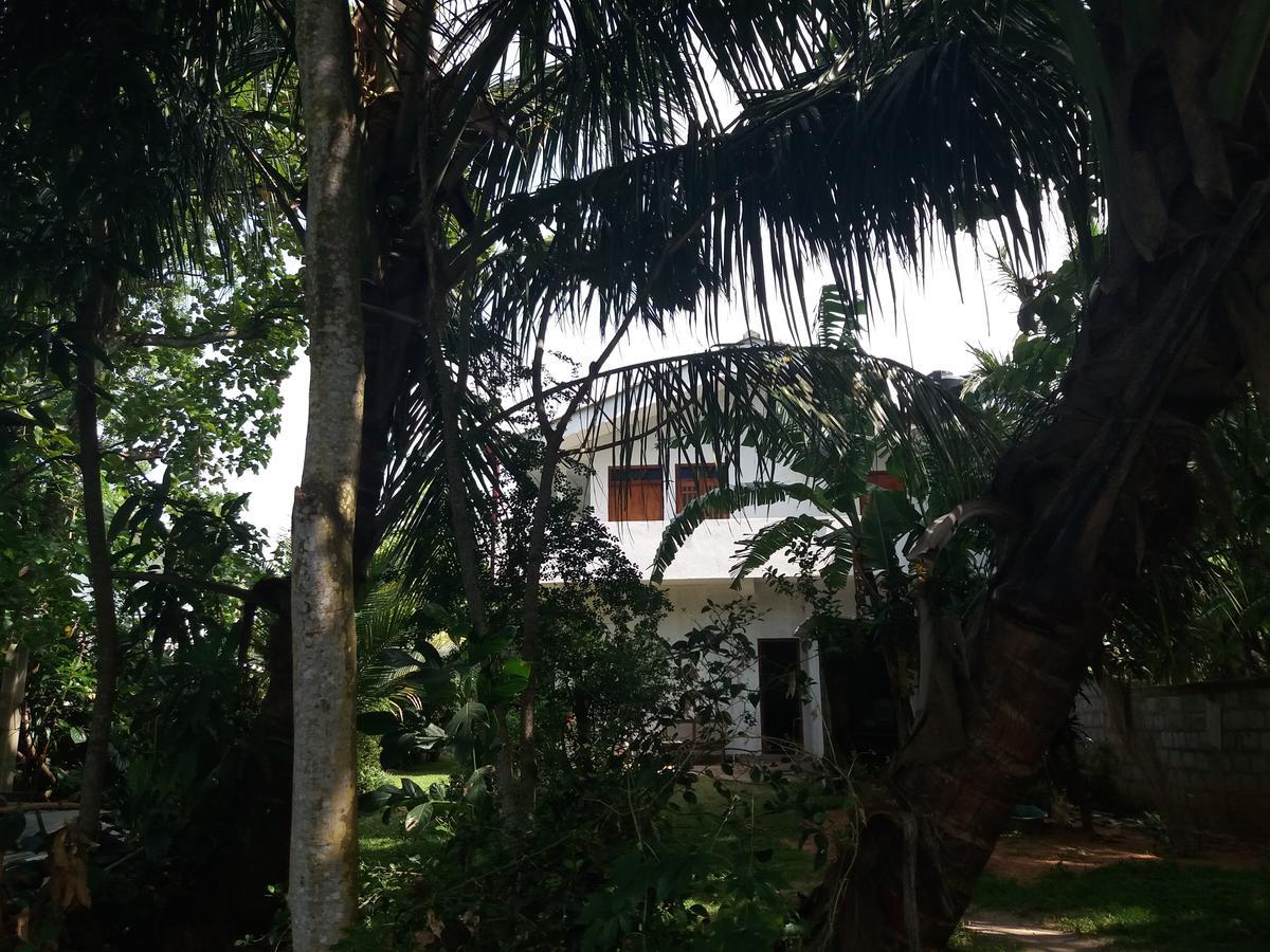 Ishitha Homestay تانجالي المظهر الخارجي الصورة